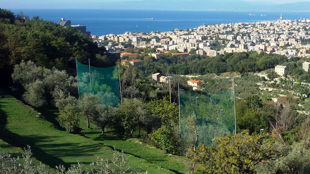 Cus Genova Golf - Genova (GE)